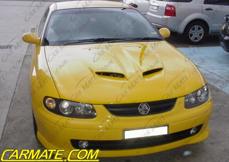 Vx deals commodore bonnet