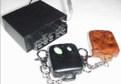 GFM168 Car Alarm